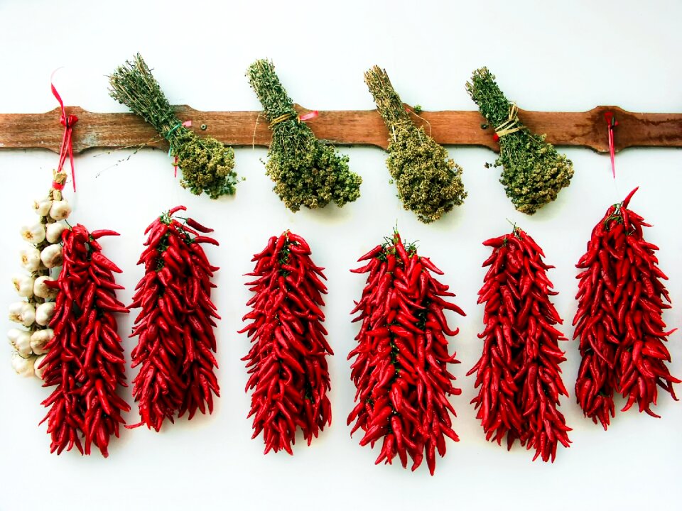 Oregano spices italian