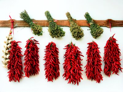 Oregano spices italian photo