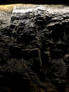 Coal deposit