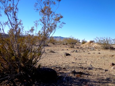 Desert Landscape
