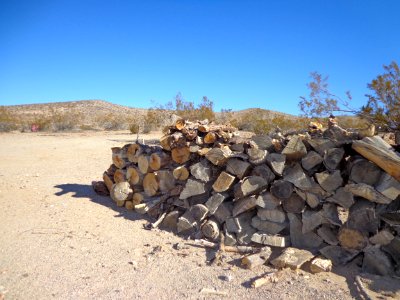 Wood Pile