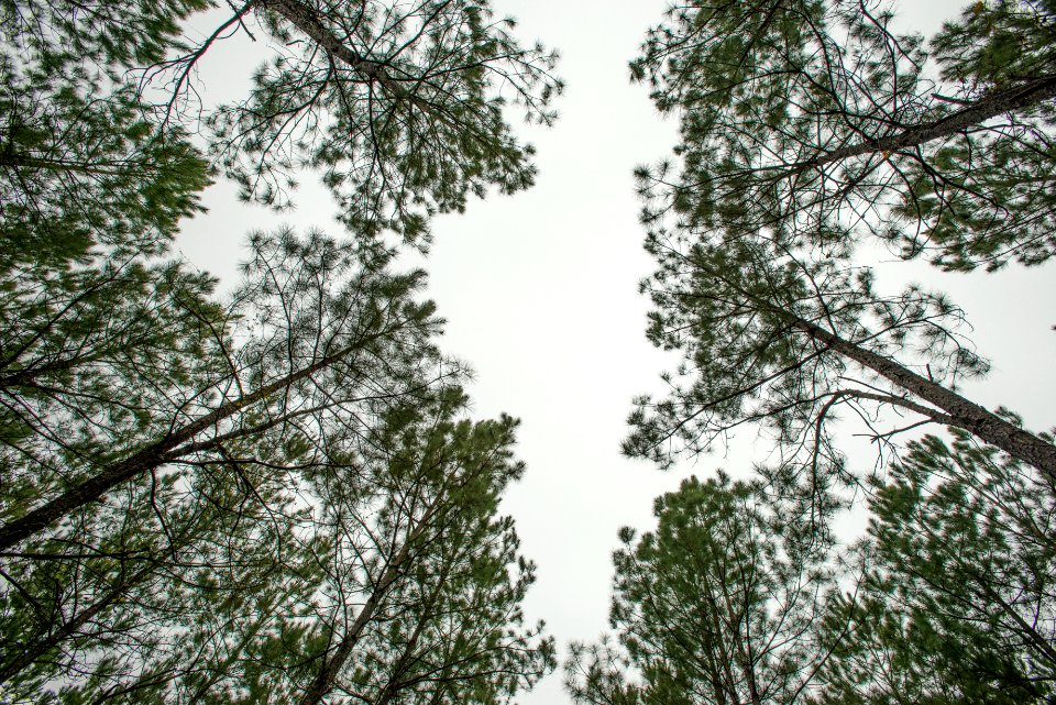 20140405-OC-LSC-1902