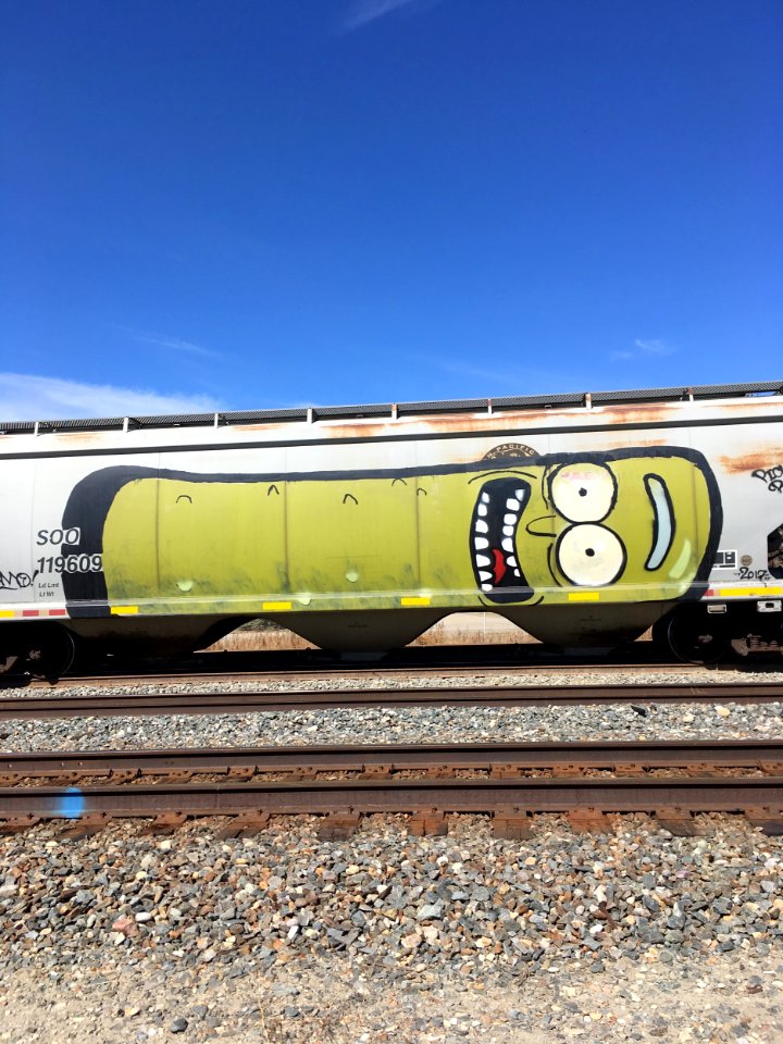 I Don't Want A Pickle, I Just Want To Ride My Motorcycle
