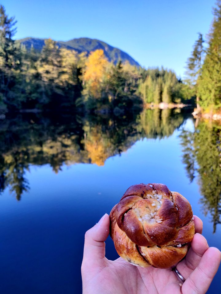 Cinnamon Bun in Nature