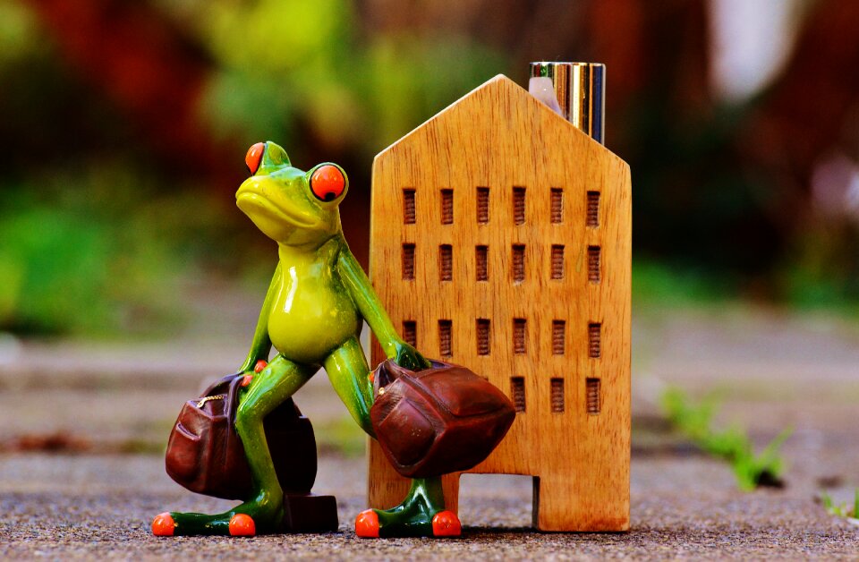 Frog luggage figure