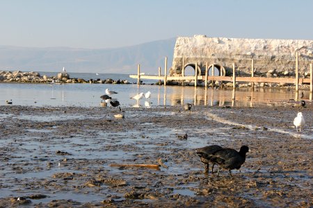 Chapala, Jalisco