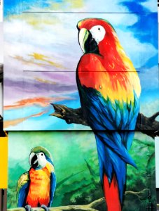 mural - parrots