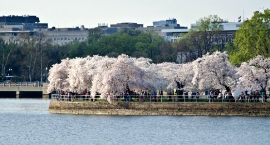 20120320-OC-LSC-0214