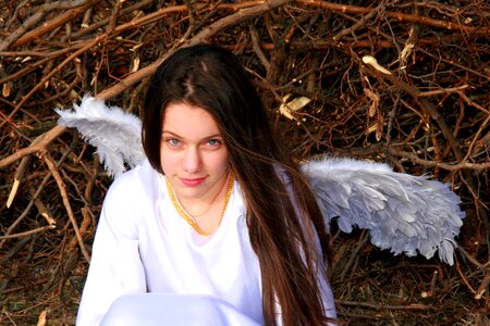 Wings white beauty