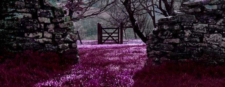 Through the gateway