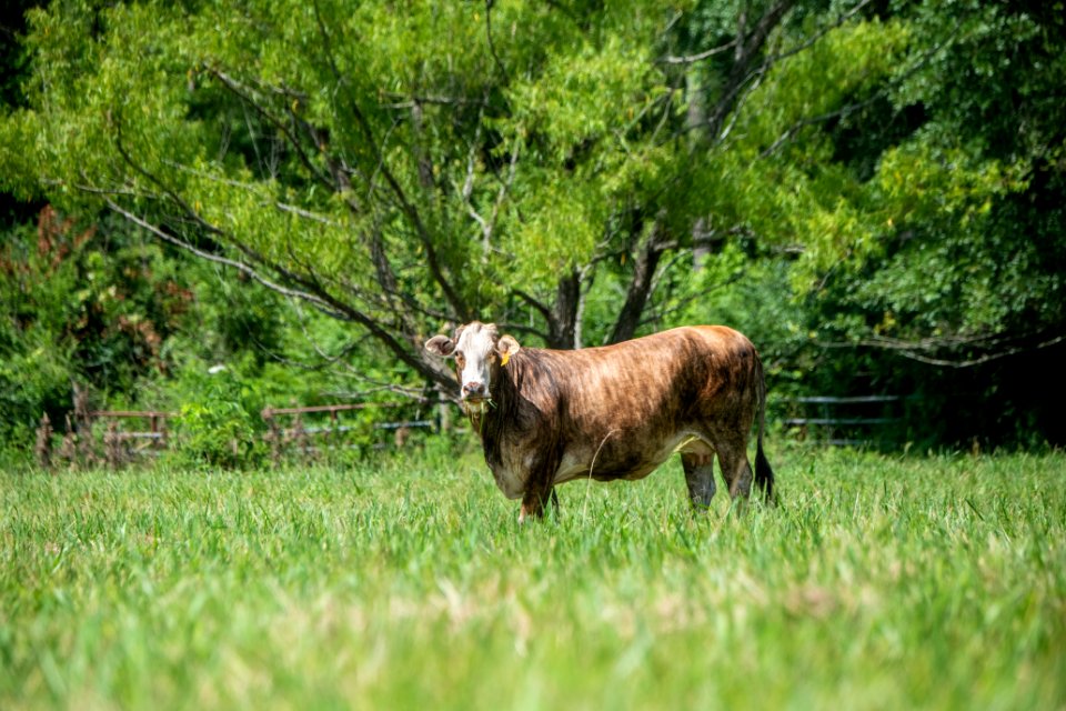 20190627-NRCS-LSC-0763