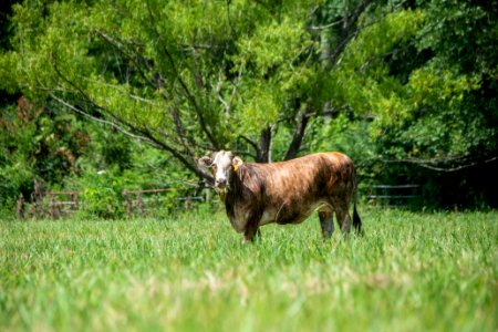 20190627-NRCS-LSC-0763