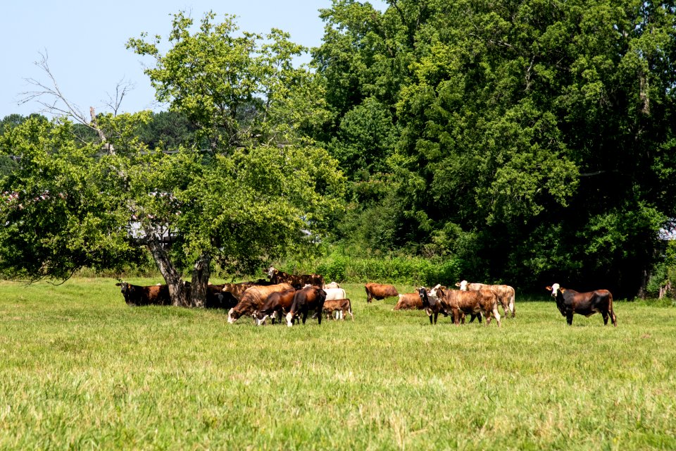 20190627-NRCS-LSC-0859