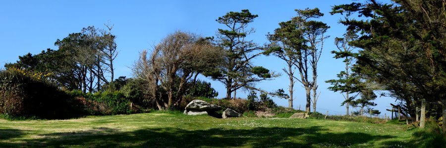 Le dolmen de Men-Milliget près de Landunvez - Finistère - Mars 2017 - 10
