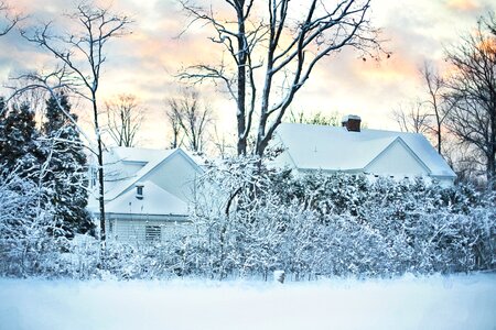 Cold nature christmas