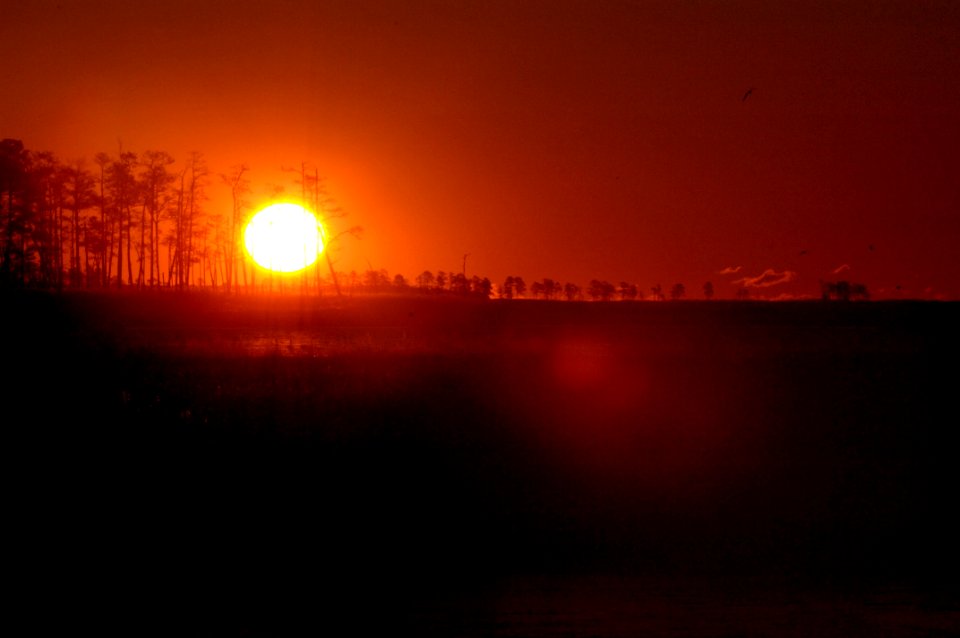 20120105-OC-AMW-0158