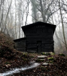 A log cabin lost in woods and winter fog photo
