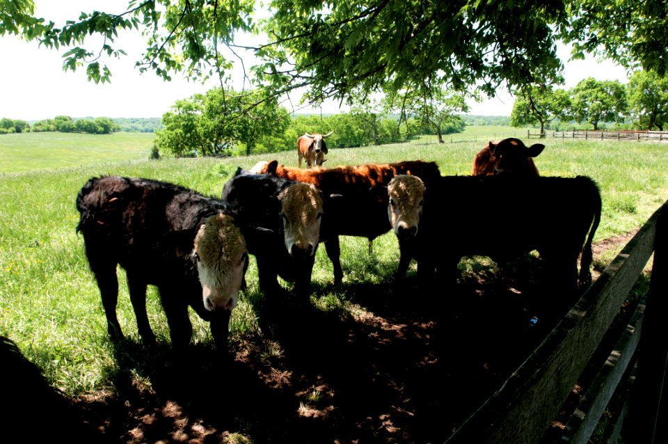 20110505-RD-LSC-0637