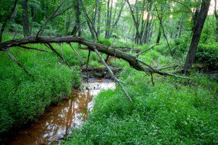Untitled HDR3