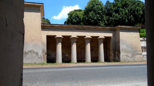 DSC05913
