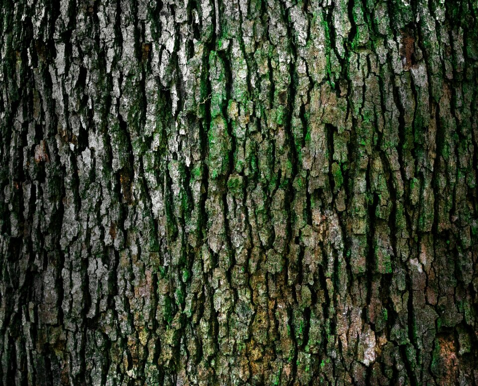 Texture natural material