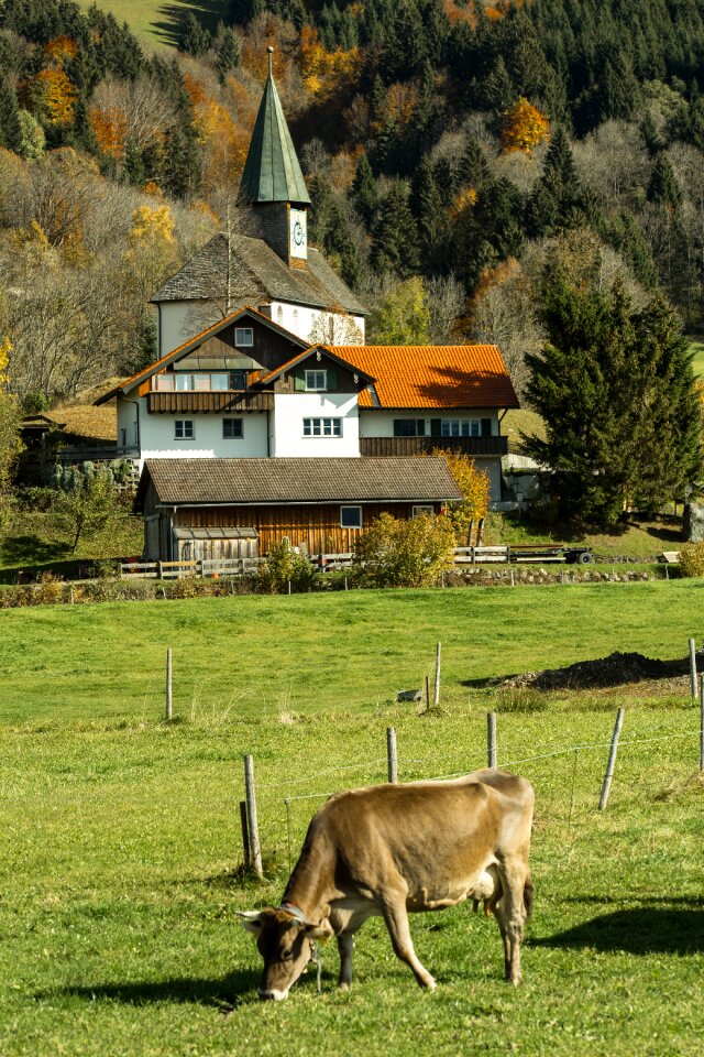 Autumn agriculture landscape