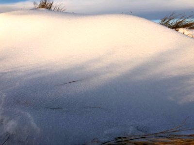 Snow Dune