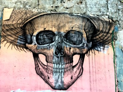 2016/366/56 Have a Skulluva Day