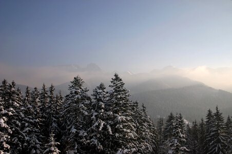 Poland the high tatras landscape