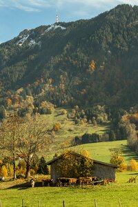 Agriculture landscape farmhouse