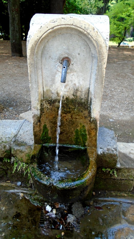 DSC05919