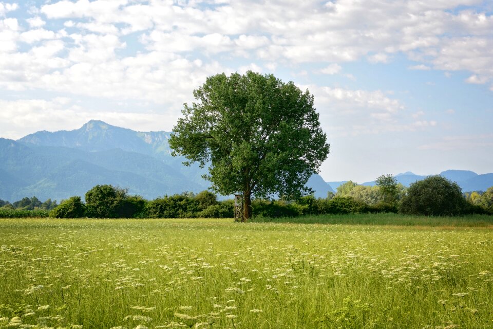 Green meadow sky photo