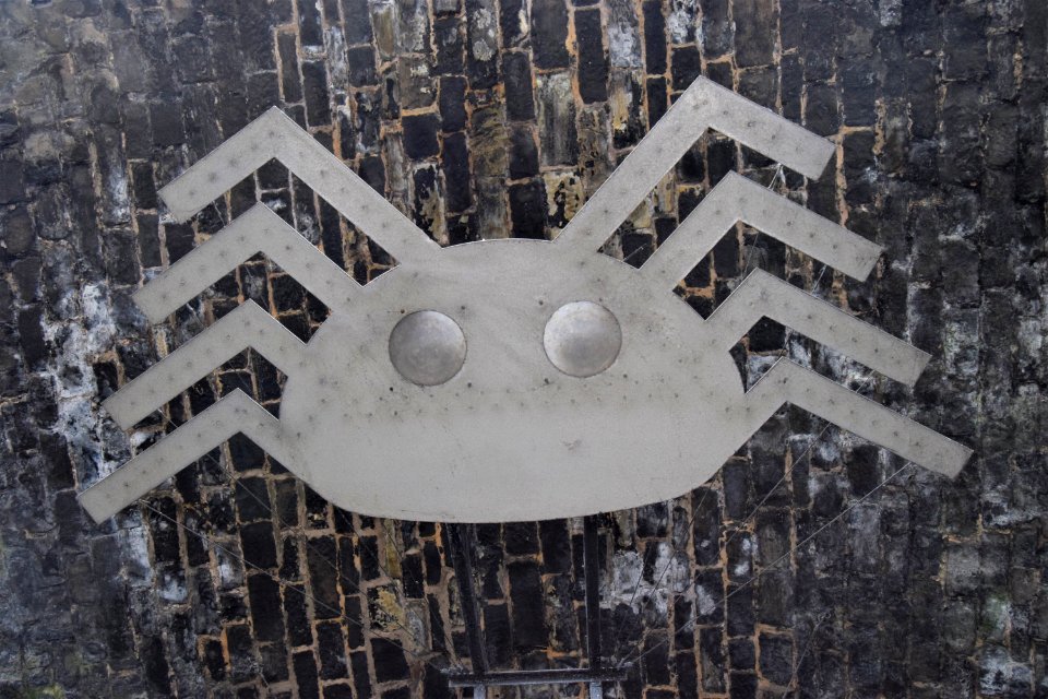Cobweb Bridge spider