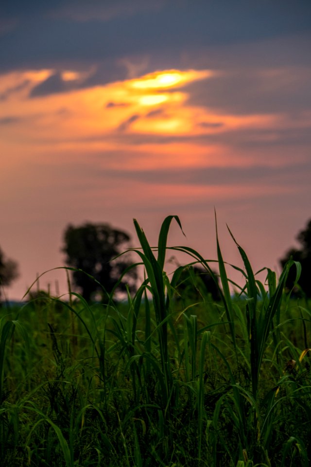 20190920-NRCS-LSC-0073