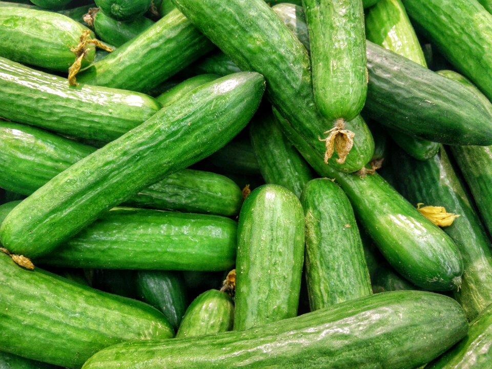Healthy organic vegetable
