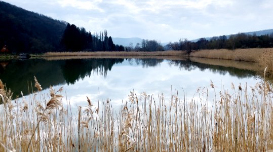 Early spring lake photo