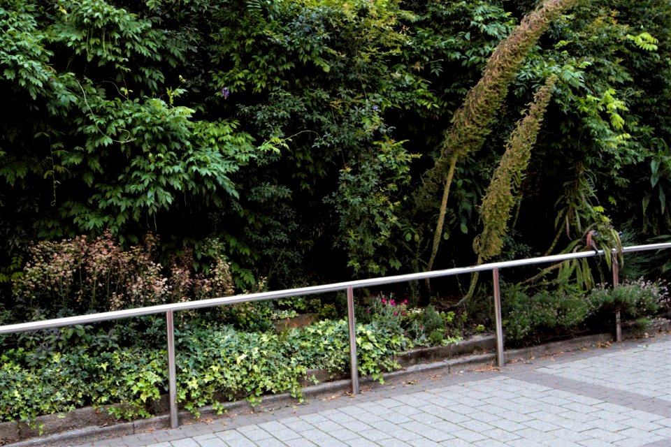 DSC 0442