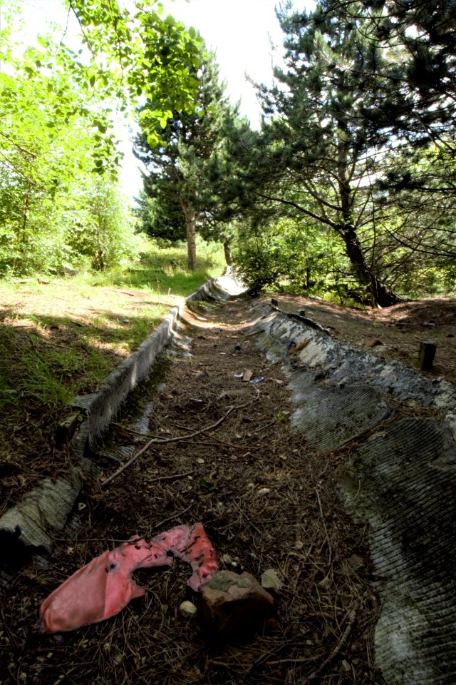 DSC 0615