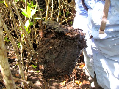 20170712-SR-NRCS-001.jpg