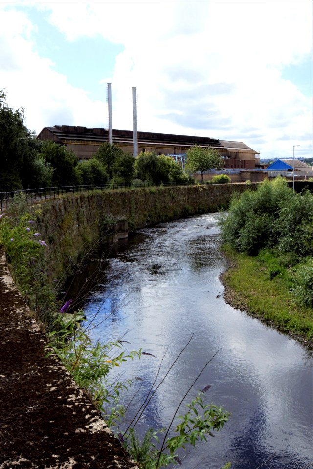 DSC 0705