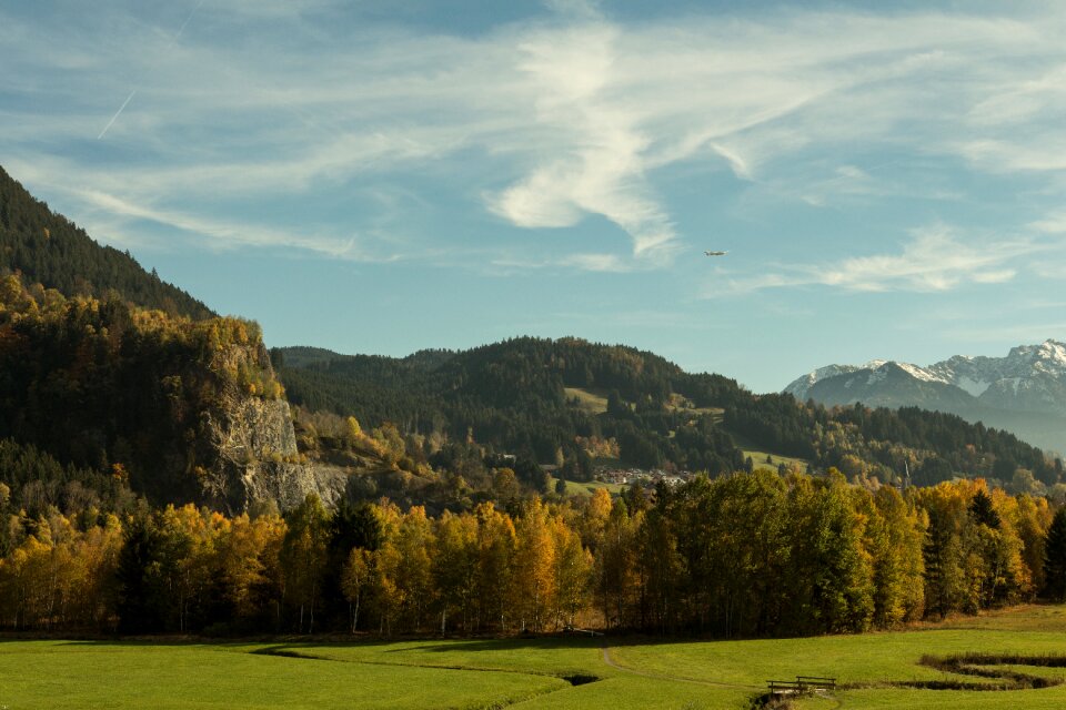 Autumn forest nature bach