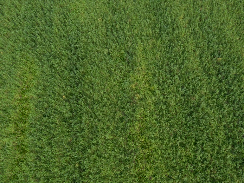 20190920-NRCS-LSC-0130