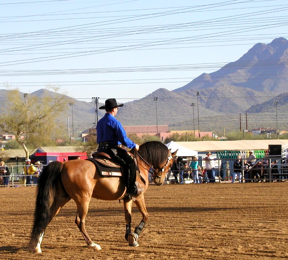 Cowboy, Mountains, Wired Sky