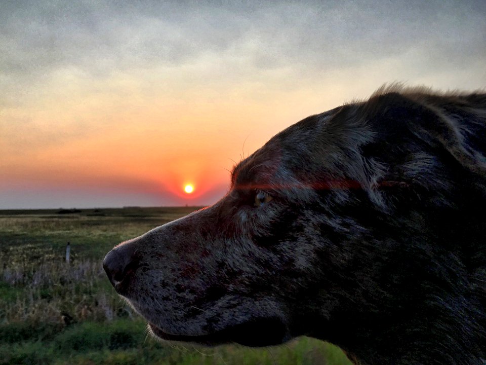 Looking for that Sunset... It's out there...