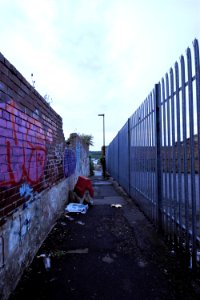 DSC 0748