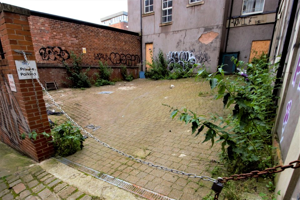 DSC 0374