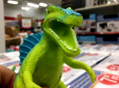 2018/365/339 I CANT TAKE SHOPPING ANY LONGER!!!