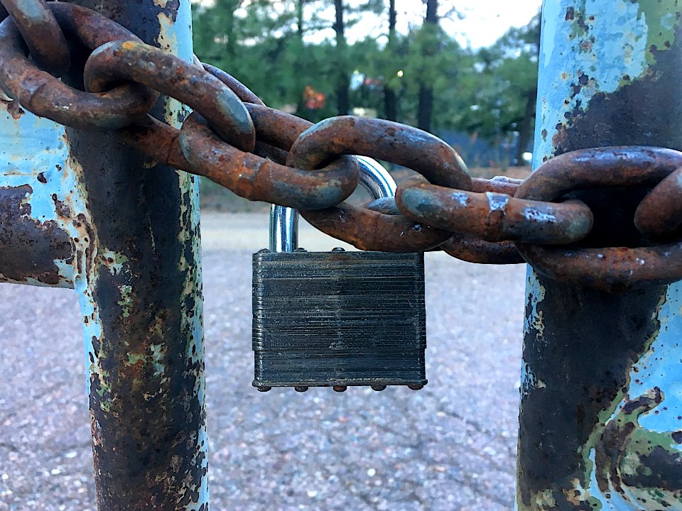 Lock Up The Forest