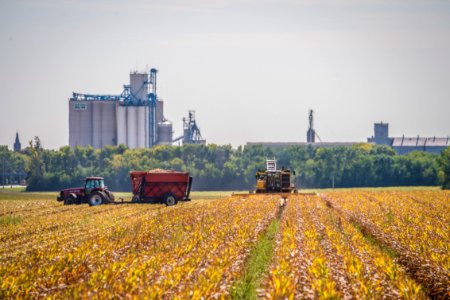 20170917-RD-PJK-0043 TONED