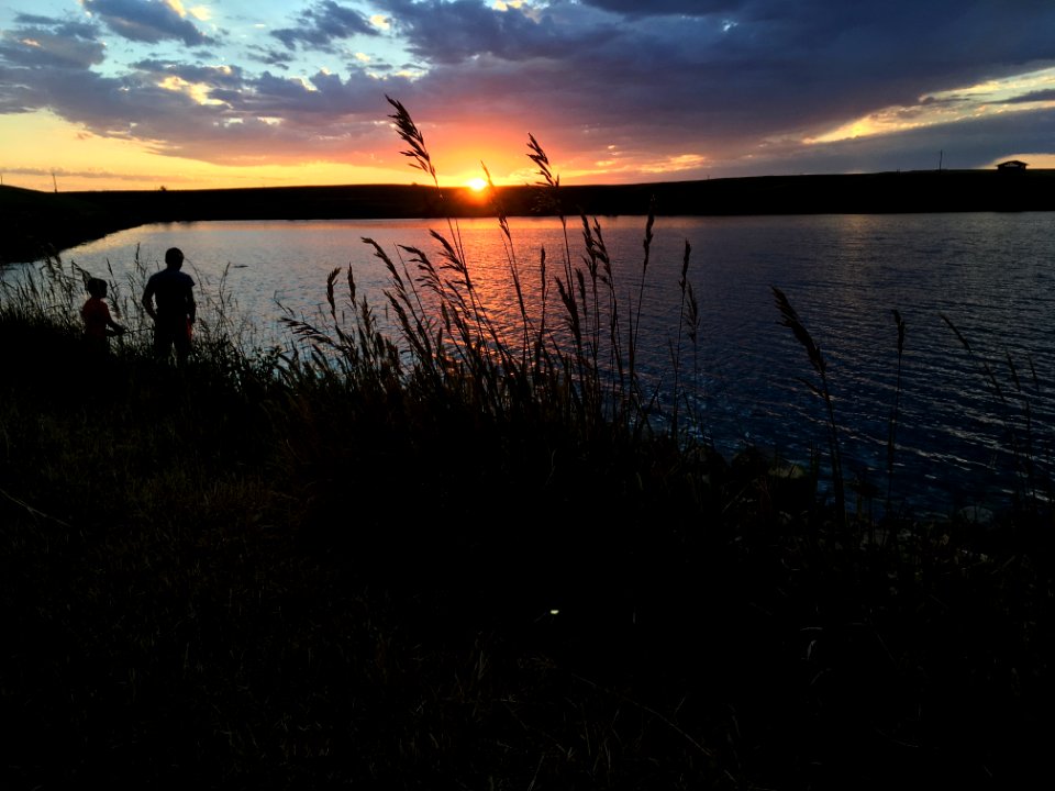 Fish At Sunset